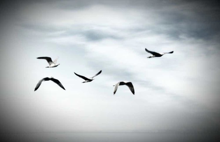 -L'espoir, c'est la certitude qu'il reste toujours une chance, ne serait-ce la plus infime, de réaliser ses rêves... ROB'