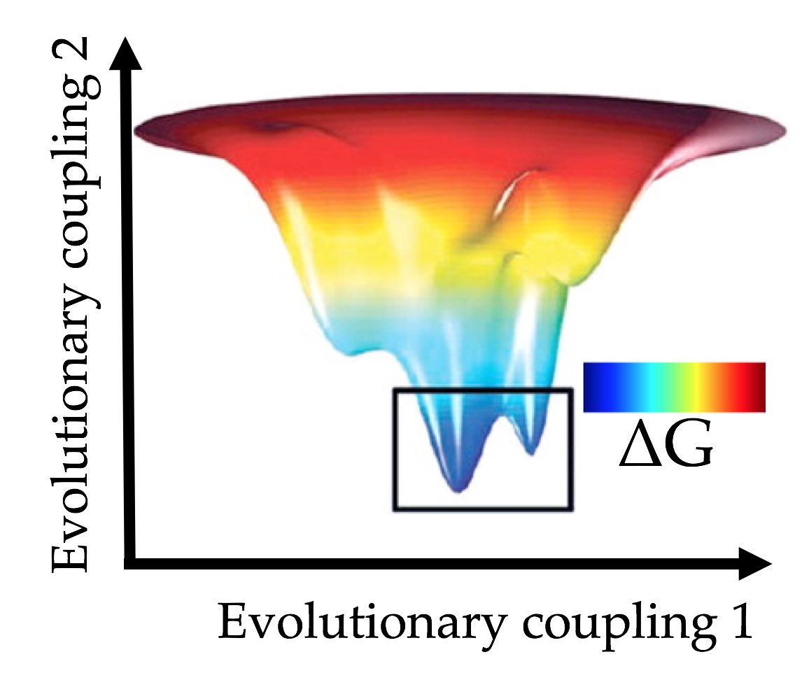 Check out our lastest work in @JPhysChem on “Characterizing Conformational Dynamics of Proteins Using Evolutionary Couplings.” @feng_jf8 @diwakarshukla @ChBE_Illinois pubs.acs.org/doi/abs/10.102…