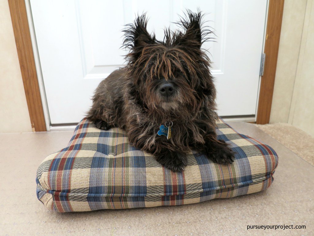 DIY Dog Beds pursueyourproject.com/diy-dog-beds/