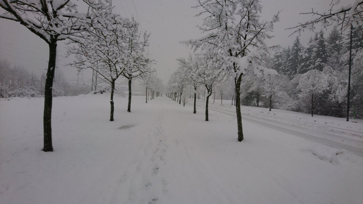 MalusTina's tweet photo. #WinterIsHere #winteridyll https://t.co/9fLRSRpaQN
