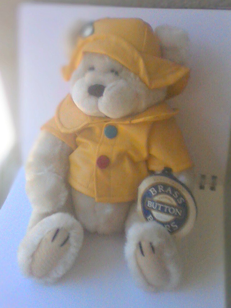 lorraine2448's tweet image. add this cute raincoated little guy to your teddy bear collection today
ebay.to/2DPm7lp Please Retweet #vintage #teddybears #brassbutton valentinesdaygift #giftsforher