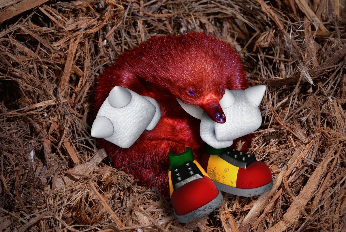 What Animal Is Knuckles - petfinder