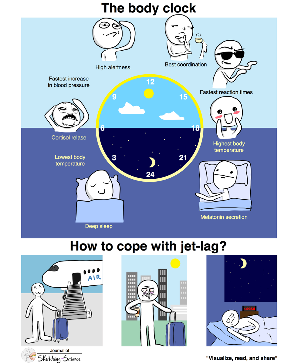Sketching Science tweet media