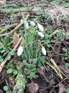 tiffany daneff (@tiffdaneff) on Twitter photo 