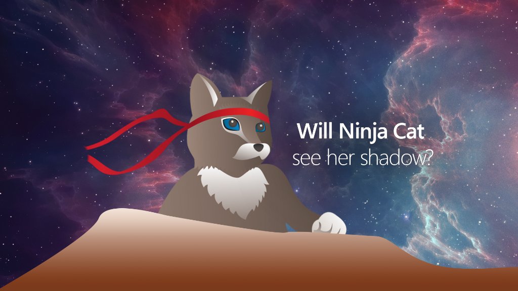 Windows's tweet photo. #GroundhogDay, the real question is whether or not Ninja Cat will see her shadow. Hop over to our Instagram story to find out: https://t.co/VdODQs5PHy https://t.co/JRv8cGn2M8