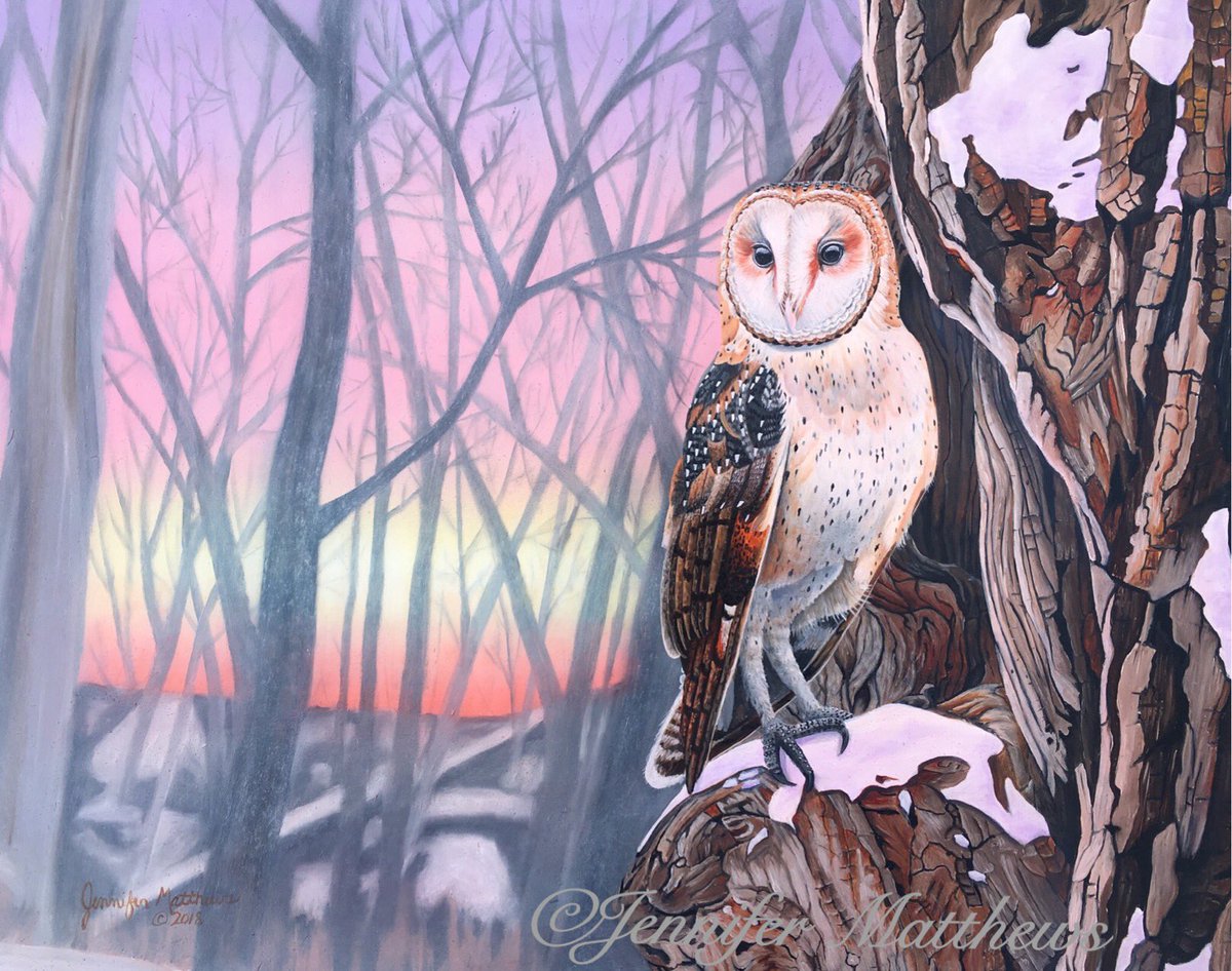 I am so happy I finally had a week to focus on my painting. I finished “Winter’s Ghost” this morning.  

#WildlifePainting #NatureArt #Cottonwood #BarnOwlArt #OriginalArt #OilPainting #Snow #Cold #winter #WildlifeArt #BarnOwlPainting