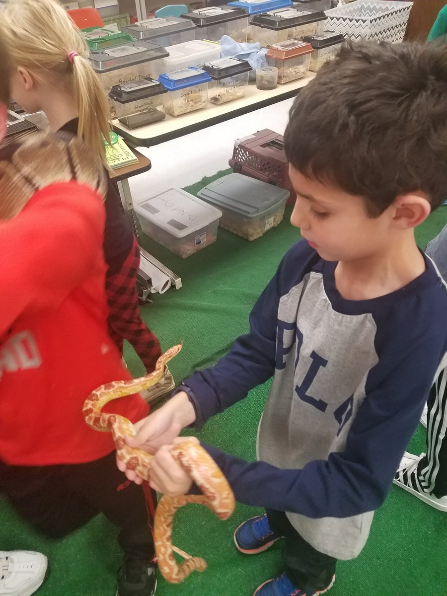 RialGraham's tweet photo. @FESfalcons STEM Exhibits last night were fabulous!  Thank you for such engaging stations! Now my lil' guy wants a snake... https://t.co/oFlagmaF0G