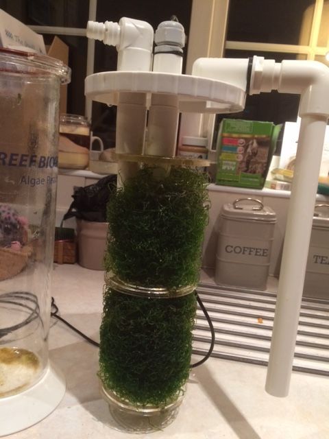 TropicalMarine's tweet photo. REEF BIO-Gro - Algae Reactors Available Mid February! Pre-Order Now!
REEF BIO-Gro S 2 litres 140 x 250 x 396mm RRP £169.99
#TMC #TropicalMarineCentre #TMCLookForTheLabel #REEFBIO #Algae #Reactors #Chaeto #Phosphate #Nitrate #Nutrients #Waterquality #Newproduct #REEF https://t.co/cLO4gbeY0i