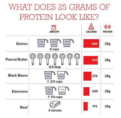 BeefCheckoff's tweet photo. Your checkoff continues to share the #BeefFacts about nutrition. RT to help us spread the word! https://t.co/Kbardj6G8t https://t.co/qxAkoaioJV