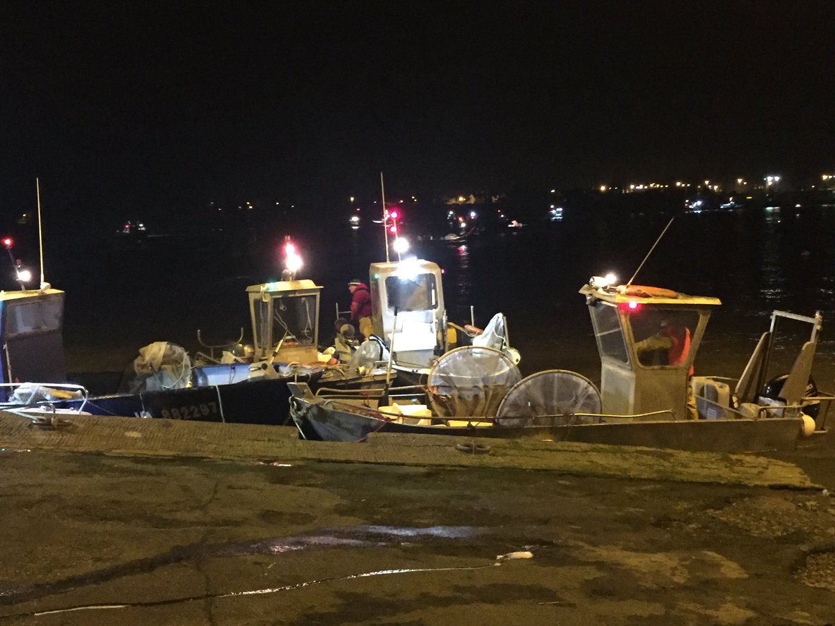 this year 1 300 000 eels restocking in brittany. thanks to fishermen d’Arzal. @EelGroup