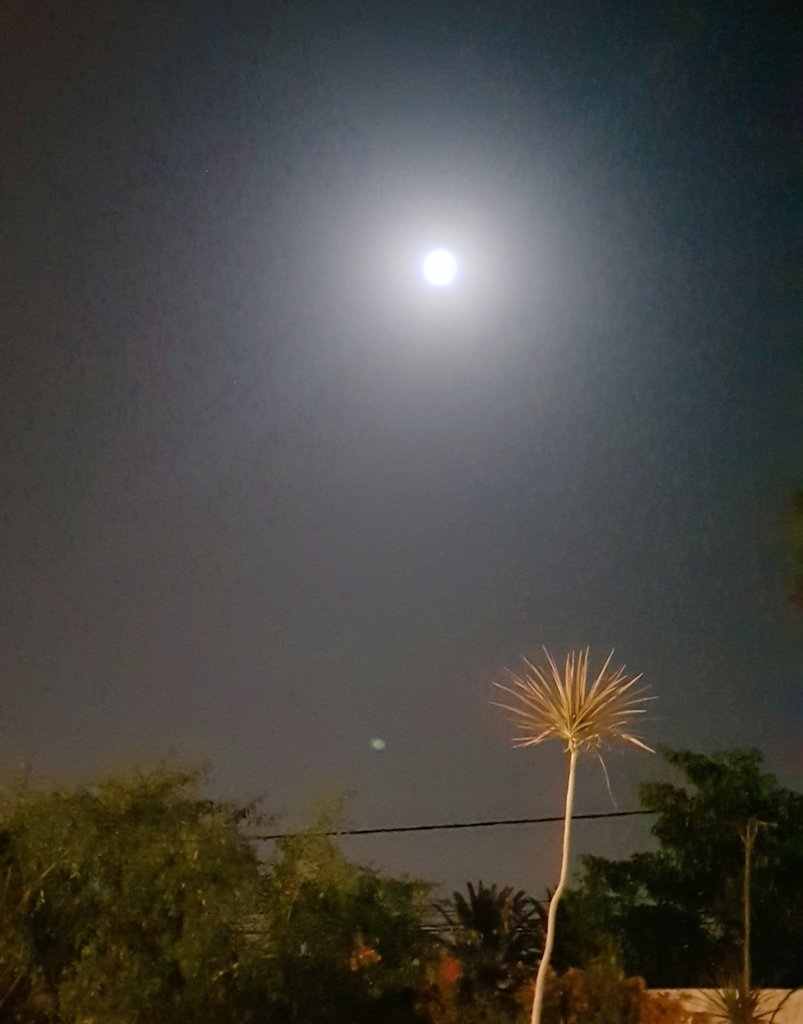 HawkesBay's tweet photo. good evening imo #karachi #PerfectOnFriday https://t.co/Fakj5h9YSk