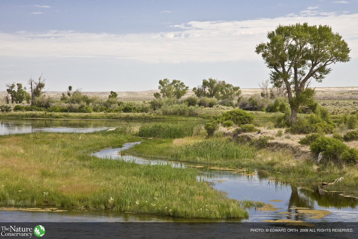 Wetlands &amp; other nature-based solutions—reefs, dunes, floodplains—can help solve the nation’s #infrastructure problems while providing communities with co-benefits such as storm protection &amp; clean drinking water. #WorldWetlandsDay