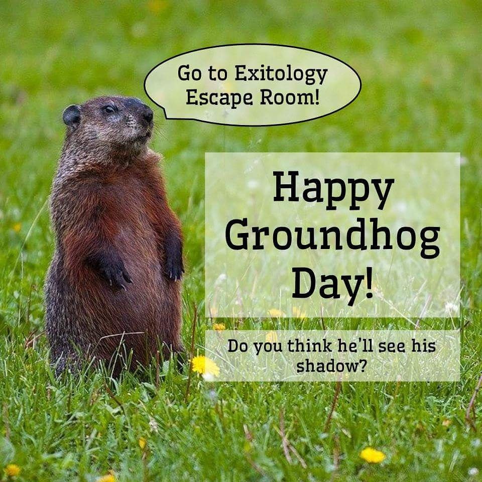 exitologyescape's tweet image. Whether Spring comes early or winter hangs around for a little longer, we hope your February is awesome!