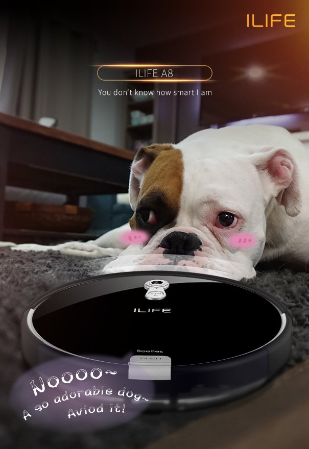 ilife_Global's tweet image. ILIFE A8
You don’t know how smart I am.
#ILIFE A8 #robotcleaning #dogs