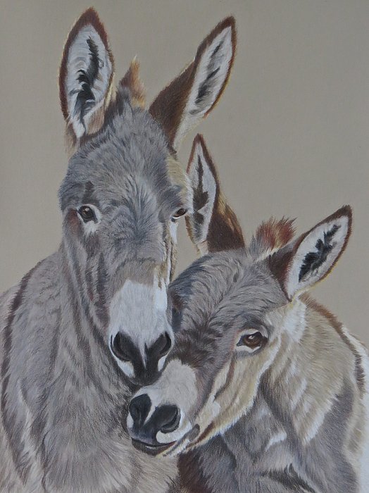McAdamations's tweet photo. New artwork for sale! - "Two of a Kind" - https://t.co/InvQRZ7aRb @fineartamerica https://t.co/hrseFn2N6H