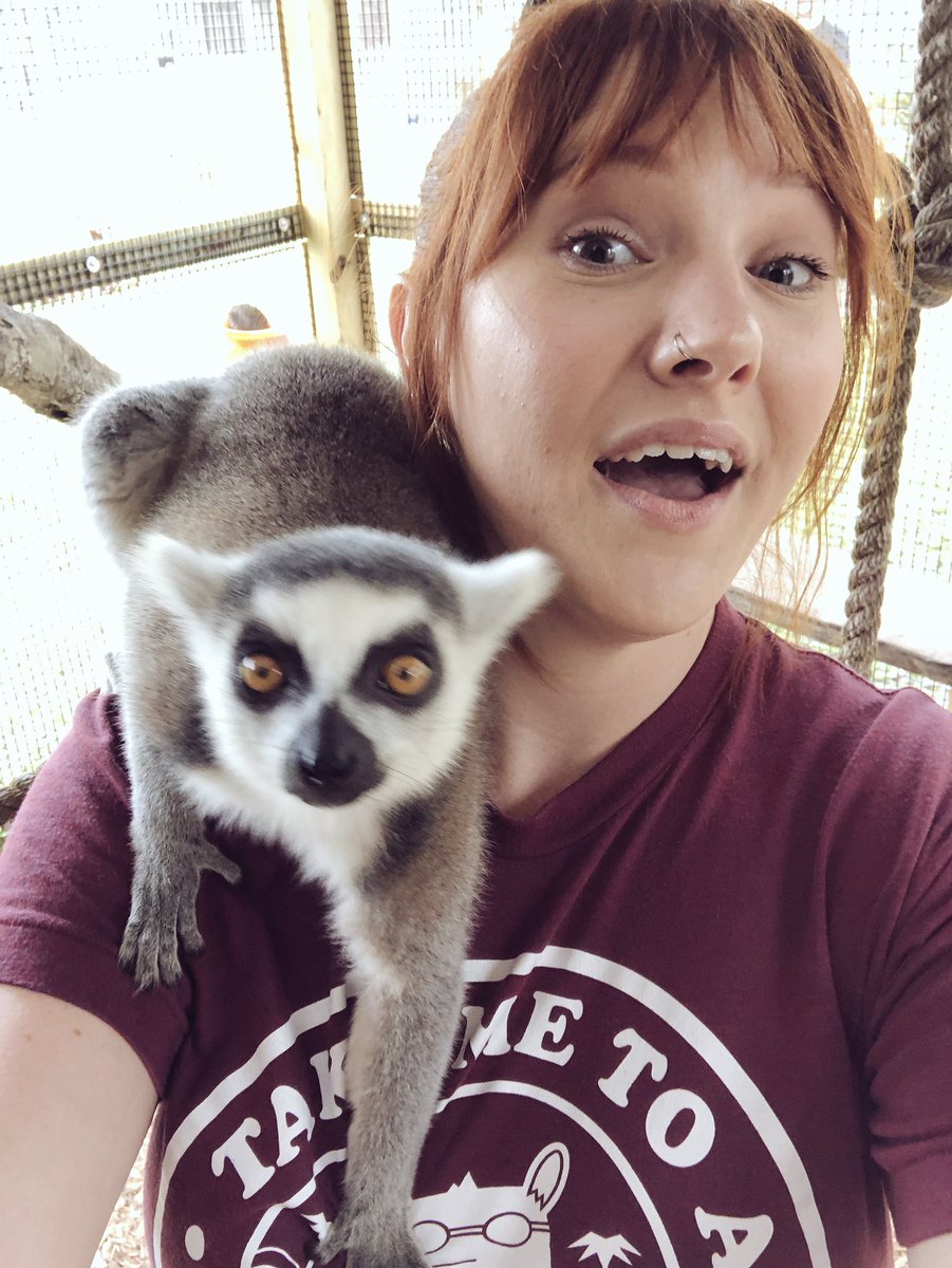 Amazing Animals Inc (AmazingAnimalsi) Twitter