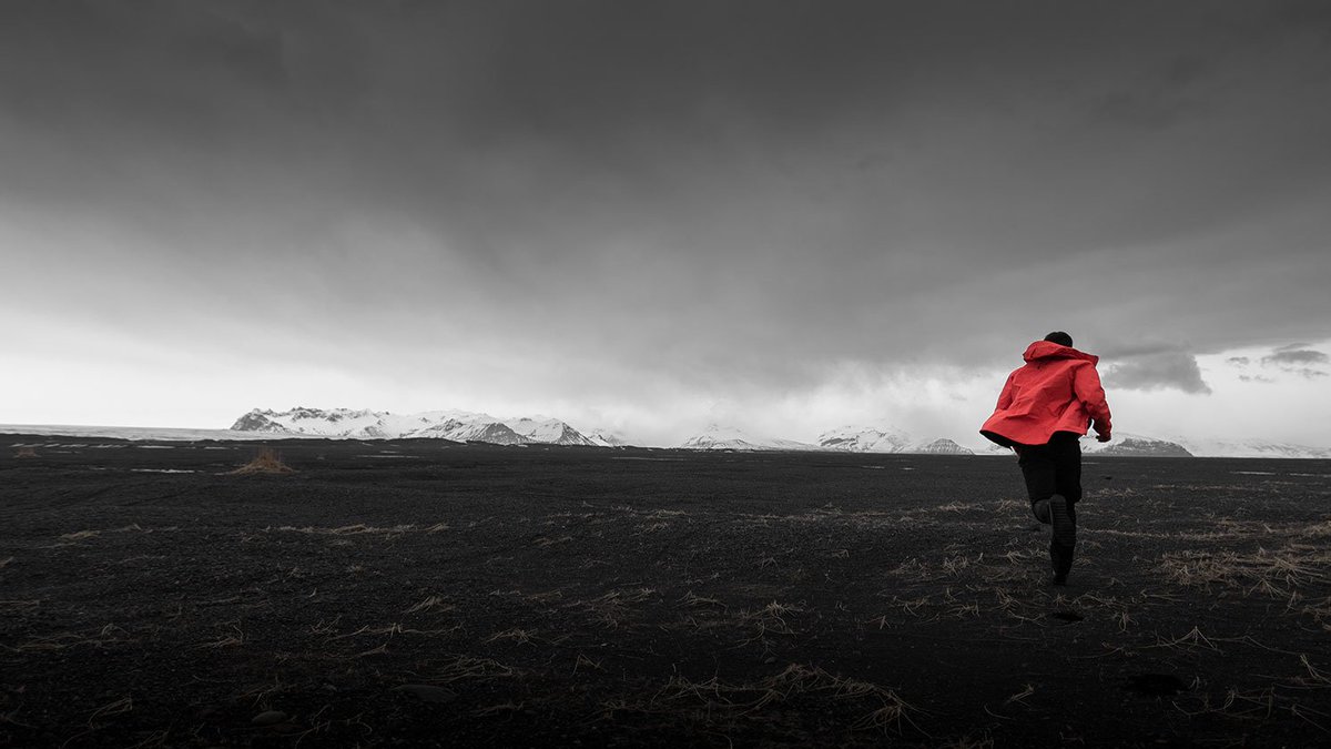 iDisciple tweet media