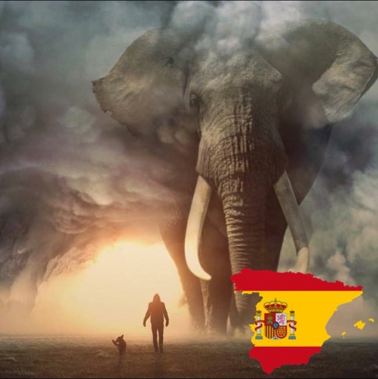 C U D E M A N (since 1988) Made in Spain 🇪🇸🇪🇸🇪🇸