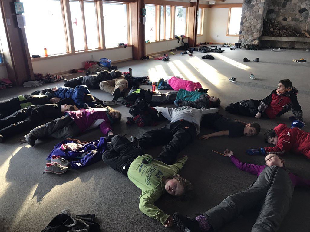 CI_kbendson's tweet photo. Deep Portage Update: Snowshoe trail through the woods. Pictures of during and after! #GoCIGo https://t.co/u4DYuAz8a8