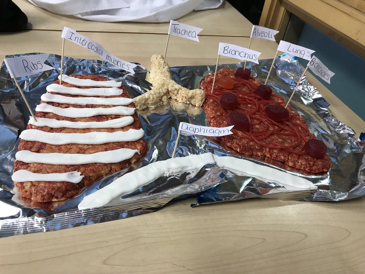 Redhill_GCSEPE's tweet photo. What a lesson!!! Mrs Beeston’s GCSE PE group... you were incredible today looking at the respiratory system!! #gcsepe #creativelearning #engagement https://t.co/oYwloi97Ck