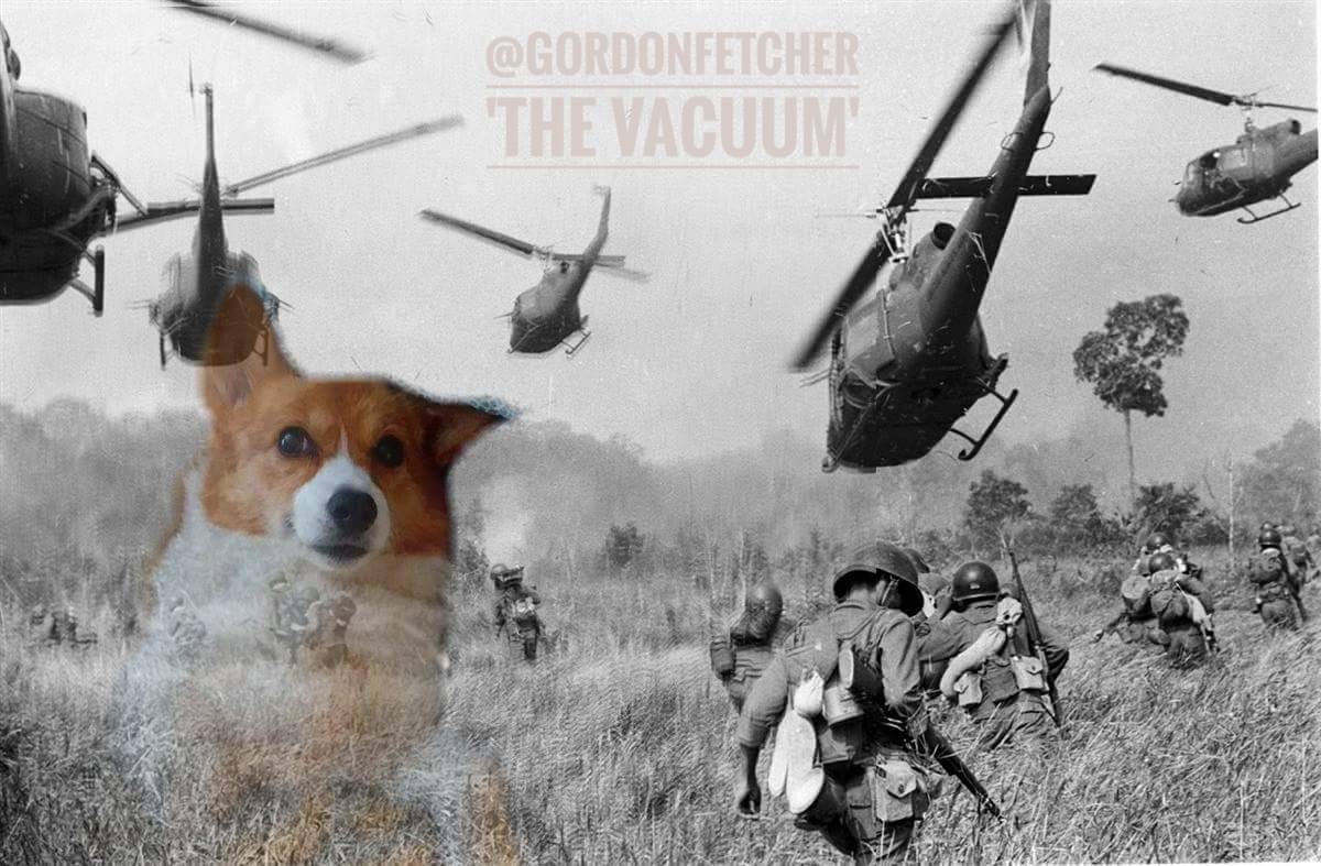 Fear is the #enemy of #success. #corgi #flashback #scardycorg #corgilicious  #corgisofinstagram #brave #dogsoftwitter #meme #stumpylegs #war  #whatisitgoodfor #vacuum