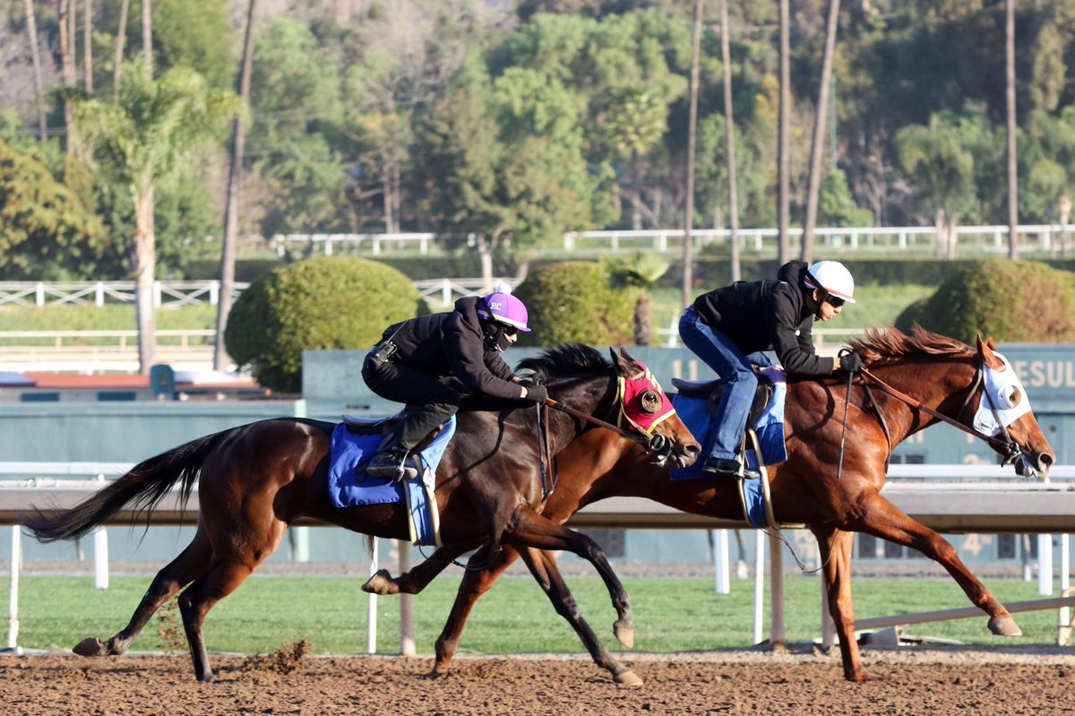 timyakteen's tweet photo. Our SW Multiplayer and the unnamed KD's Shady Lady worked 4F in company this morning here at @santaanitapark. 👍 #GetEmReady https://t.co/Pnvp6ofI5N