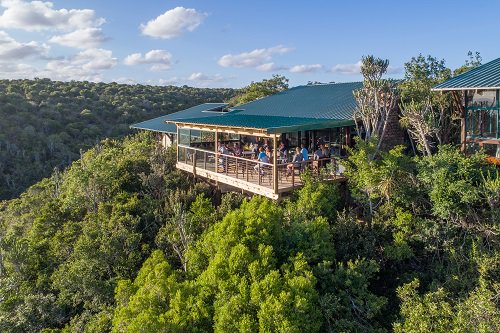KariegaGameRes's tweet photo. Our #MainLodge bar extension is complete. It has added a wonderful expansiveness to the pub area, with more room for guests to #relax & enjoy breath-taking #views while doing some game or bird spotting before heading out on a #safari drive.
Tell us what you think of this space. https://t.co/CQgWDdkoKN