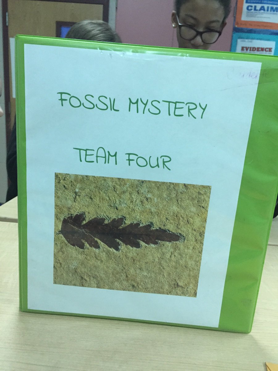 SusanCardente's tweet photo. Future paleontologists break out by solving a fossil mystery, thanks to the BWEF! @Principal_Homen @BWEdFoundation @mariojandrade @ATeamKMS https://t.co/ZFGB5wfjEP