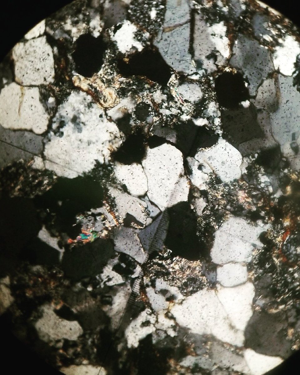 Can you classify this sedimentary rock? #RocksForJocks