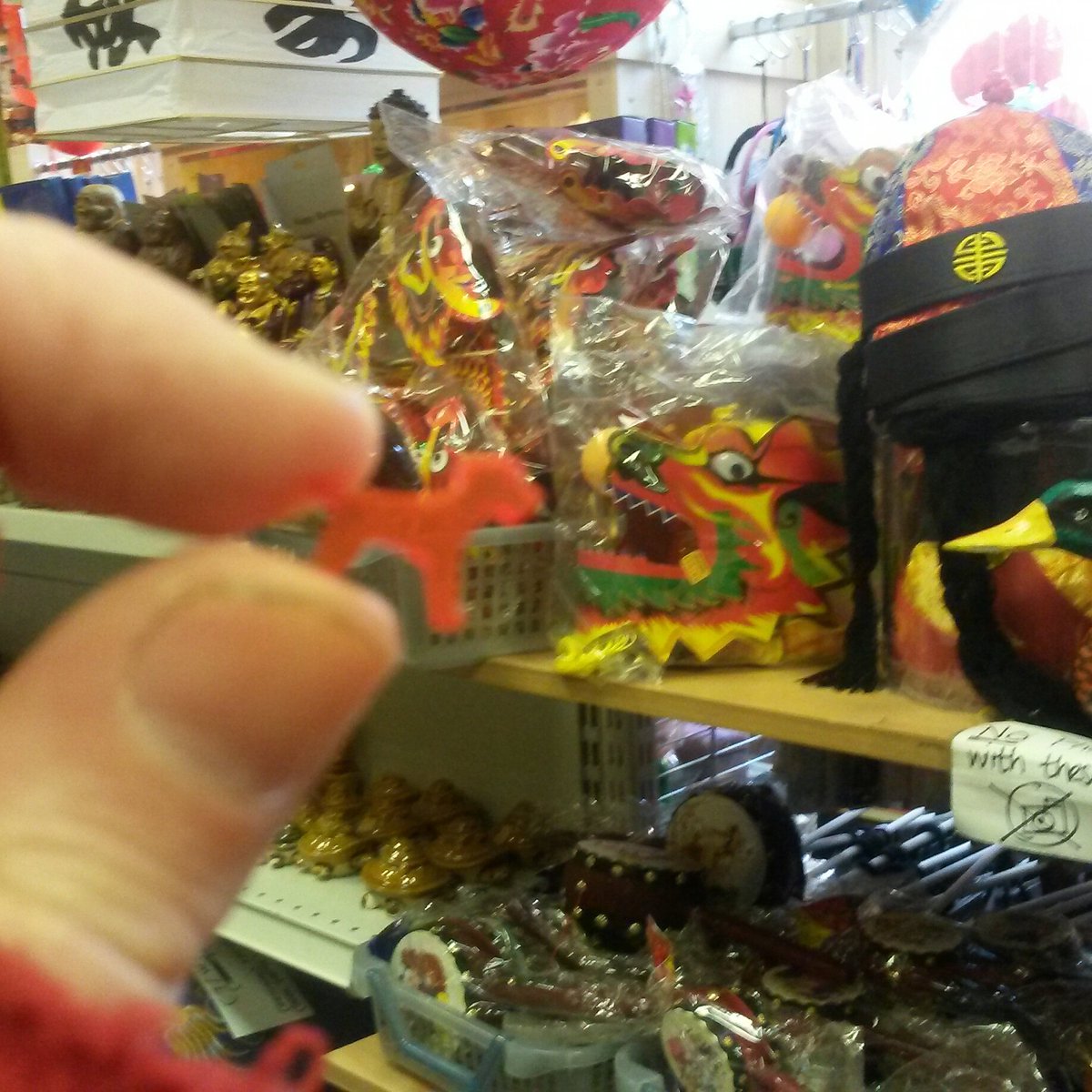 steelygreyste's tweet photo. @misheleneous My #TinyHeidi #borderterrier #dogtag #collar insert from @misheleneous has escaped around #Manchester @EtsyMCR . Her she is in #China town getting ready for #ChineseNewYear #YearoftheDog visiting a #dragon https://t.co/78vlNclwaE
