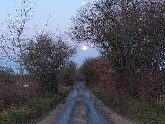 Exoticgardenco's tweet photo. A straight road to the #supermoon, #SuffolkAONB, #thesuffolkcoast,#allaboutsuffolk,#WoodbridgeUK,#Snape,#Orford,#Southwold,##aboutfram,#DestSuffolk,#insuffolk,#Aldeburgh,#Saxmundham,#Wildinsuffolk,#allaboutipswich,#ipswaterfront,#Thorpeness, https://t.co/lKH4Tq7vyl https://t.co/3Dq1ZBquMQ