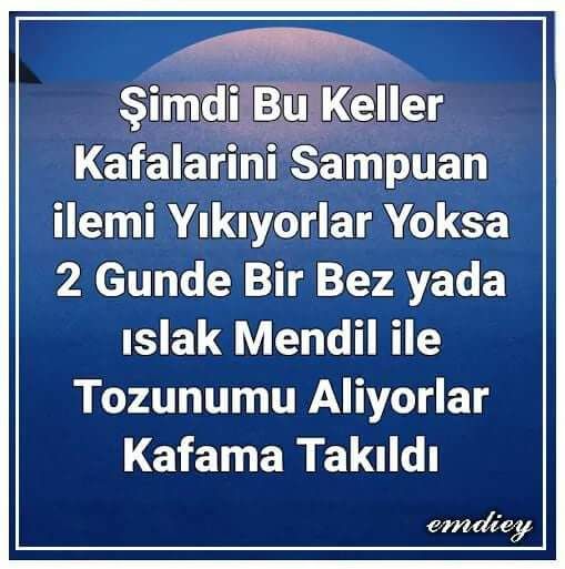 Deli sorular🤔🤔🤔🤔