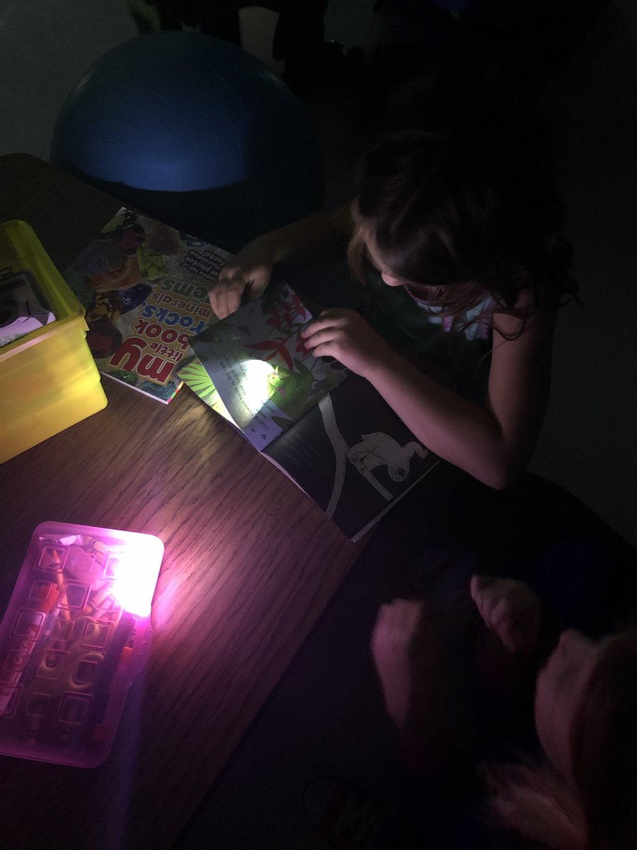 TheMrsLane's tweet photo. Reading by “moonlight”. @FESfalcons #feslearns #40yearsofexcellence https://t.co/skSLNX03gq