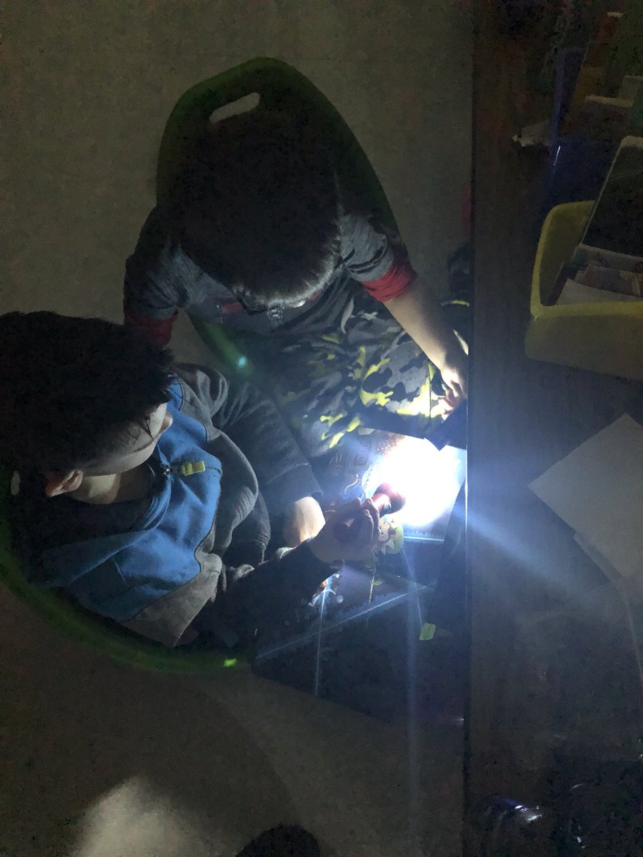 TheMrsLane's tweet photo. Reading by “moonlight”. @FESfalcons #feslearns #40yearsofexcellence https://t.co/skSLNX03gq