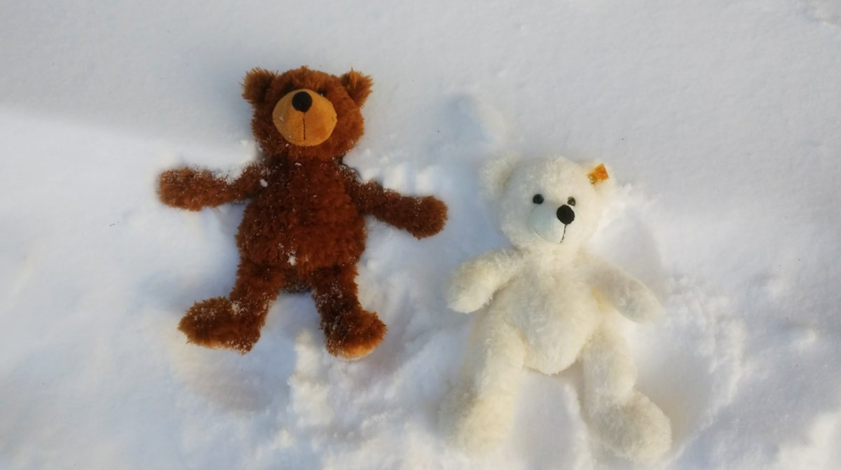 Steiff USA tweet media