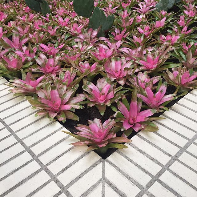 Emily Whittenburg tweet media