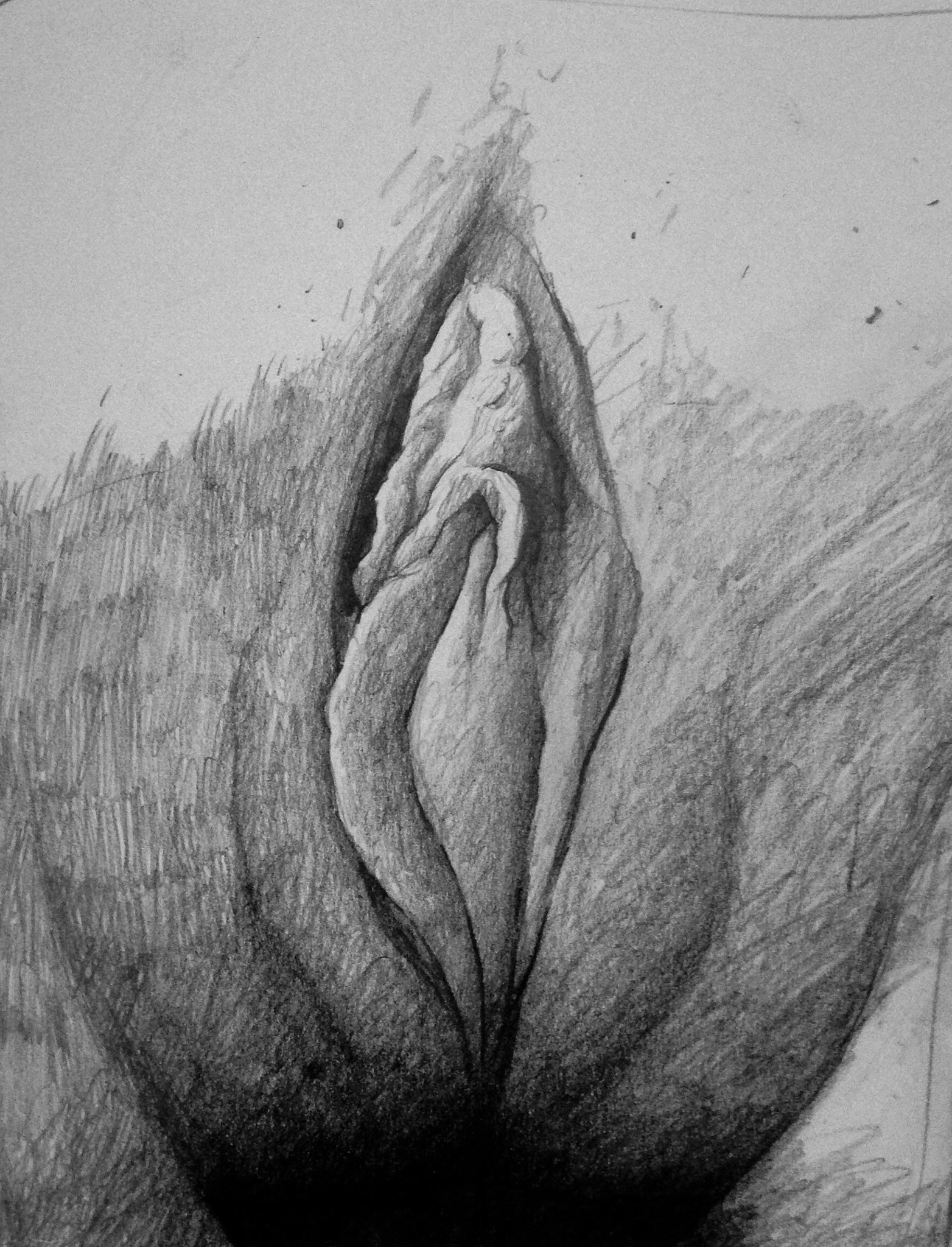 John Hollyoake on Twitter: "Pussy sketch. #pencil #erotic #sexy #sensu...