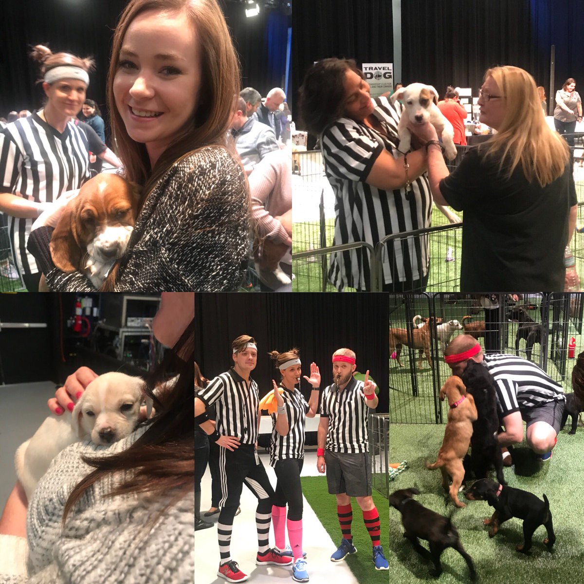 It’s #PuppyBowl time in Tennessee! Inspired by our friends at <a href="/AnimalPlanet/">Animal Planet</a>, we threw our own “pawty” to celebrate the big game. Knoxville employees had the chance to snuggle &amp; play w/ adoptable puppies &amp; dogs from area shelters while learning more about pet ownership &amp; adoption.