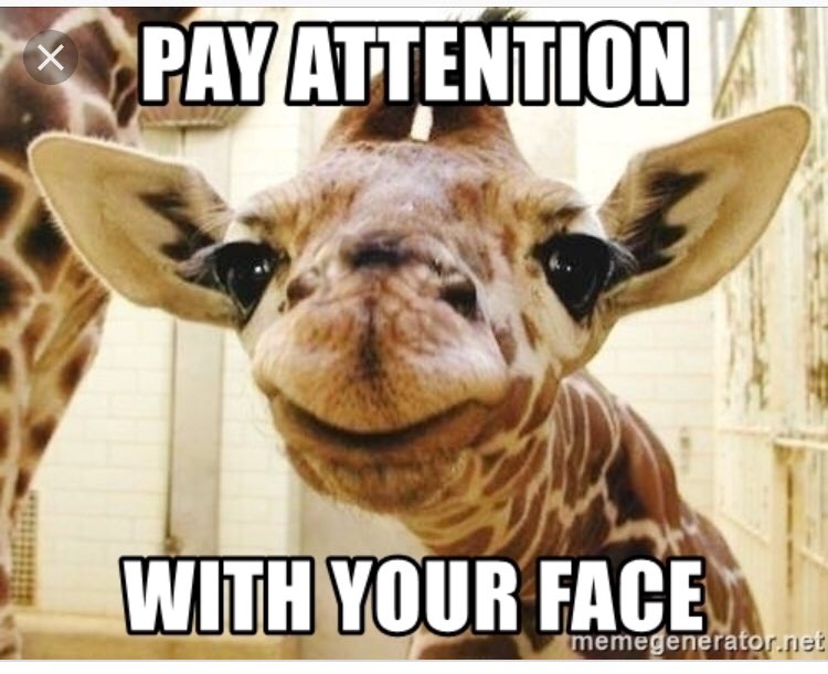 marysadear's tweet photo. When you sub for rowdy 5th graders you have to acquire a good amount of classroom memes https://t.co/KtO8Qui4dA