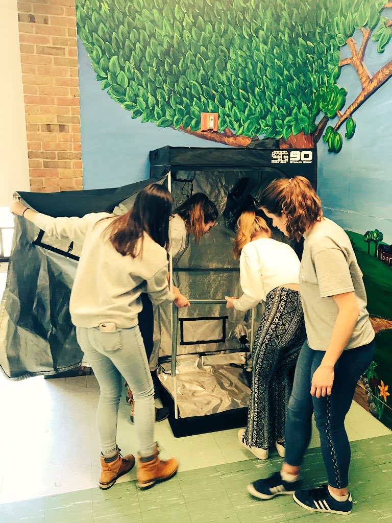 MsWellnessEdu's tweet photo. These young women assembled a hydroponic grow tent and Ebb &amp; Flow system today representing the @hw_environment. Planting seeds next week. More to come! #green #hydroponics #sustainability #girlpower #science #healthed https://t.co/P85eWwrIdl