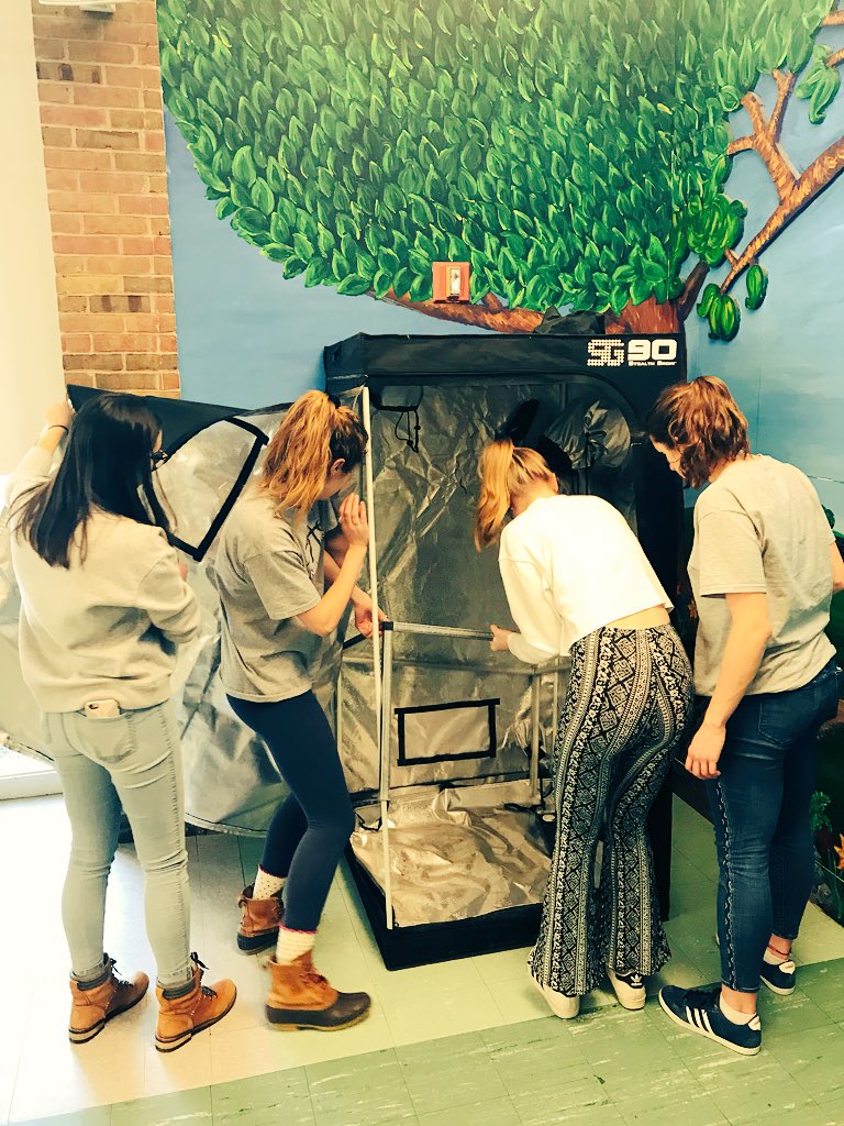 MsWellnessEdu's tweet photo. These young women assembled a hydroponic grow tent and Ebb &amp; Flow system today representing the @hw_environment. Planting seeds next week. More to come! #green #hydroponics #sustainability #girlpower #science #healthed https://t.co/P85eWwrIdl