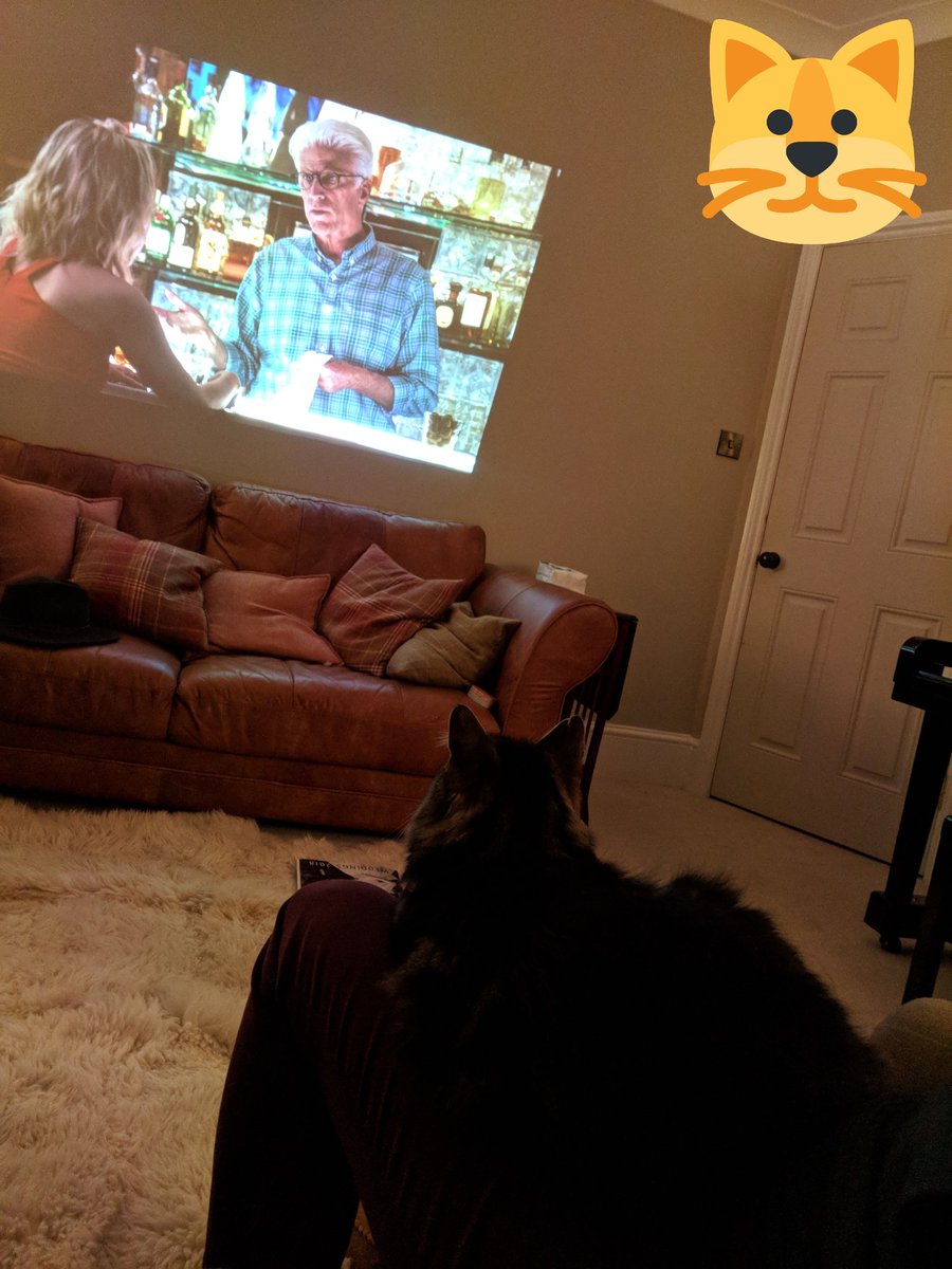 Yuki is totally engrossed in the final episode of <a href="/nbcthegoodplace/">The Good Place is taking it sleazy</a> #catswatchingtv