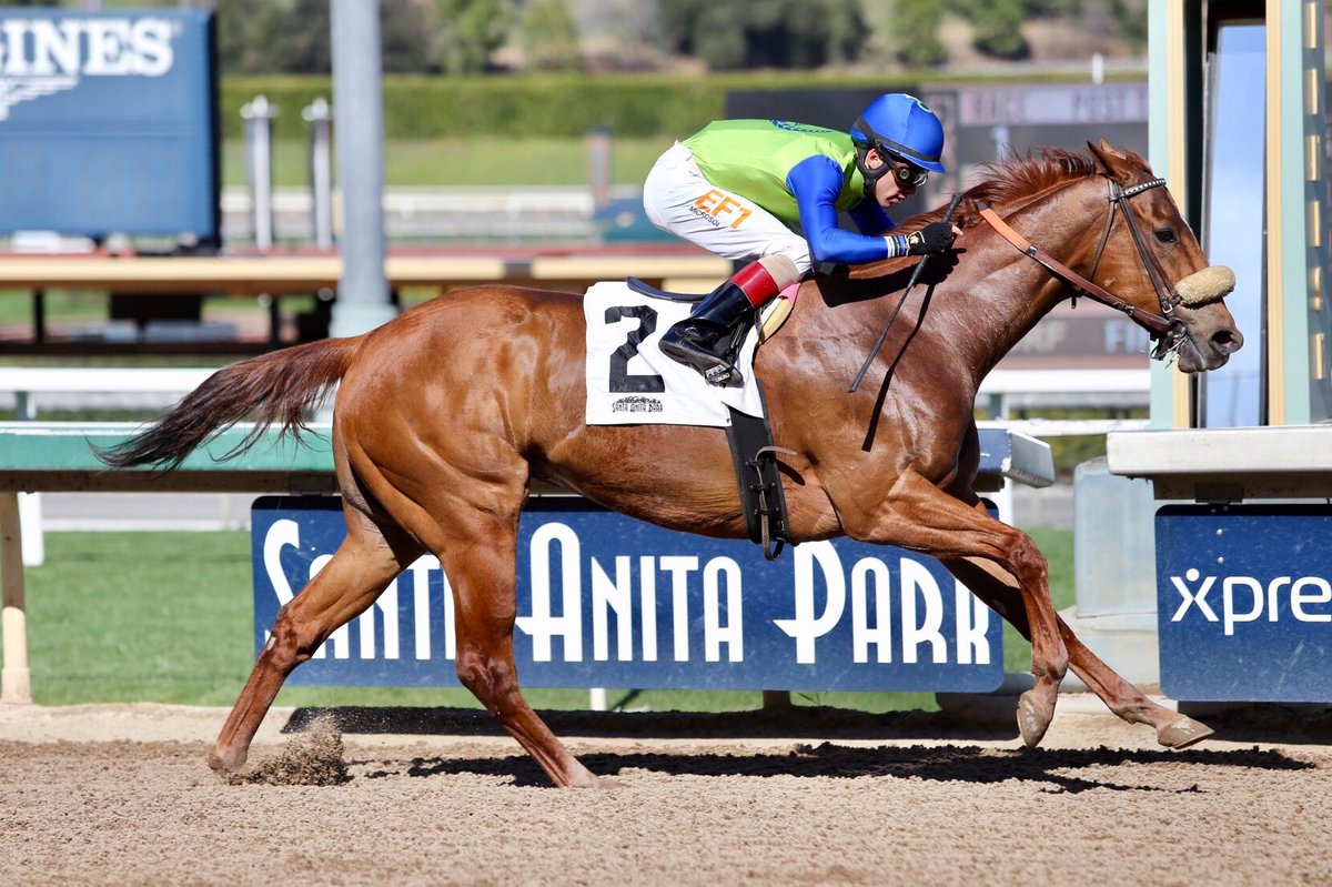 Evin Román Official (@e_romanofficial) on Twitter photo 🏇Santa Anita Park🏇
Victory #184🏆
Race 1 aboard Lucky Student🐎
February 2, 2018
* Photo Credit: <a href="/SAPublicity/">SA Press Box</a> *
God leads me to every single victory👣 🏇Santa Anita Park🏇
Victory #184🏆
Race 1 aboard Lucky Student🐎
February 2, 2018
* Photo Credit: <a href="/SAPublicity/">SA Press Box</a> *
God leads me to every single victory👣