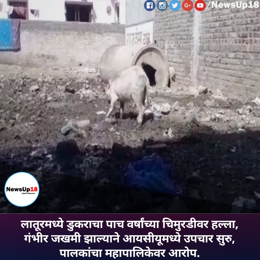 NewsUp18's tweet image. #pigattack #latur