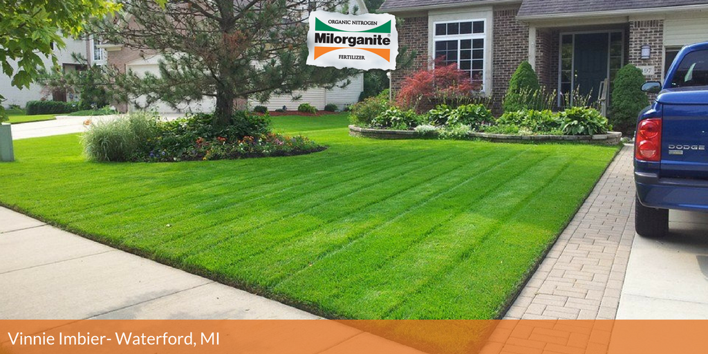 on Twitter ""Dark green lawn that is my secret that I don