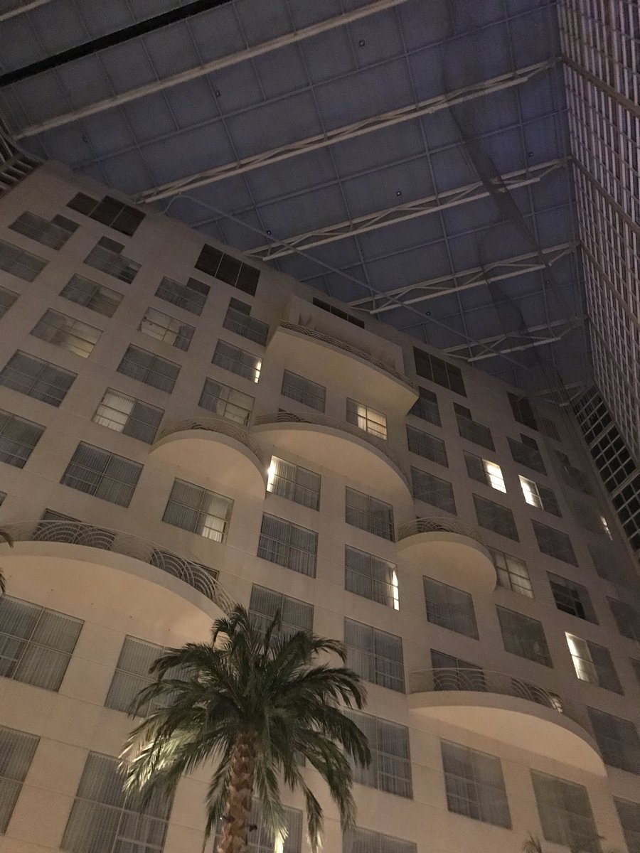 Tiger_Yuratchka's tweet photo. So. My fiancé surprised me with a trip to Disneyland (internally screaming btw.) and we’re staying at a hyatt and ugh @yaoicon feels https://t.co/JjexiXHisX
