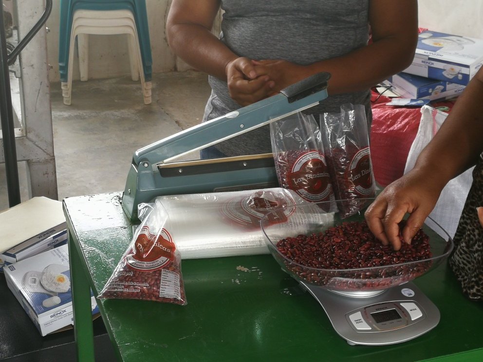 saghonduras's tweet photo. #Jamastrán Con apoyo de @USDA : Productoras de la cadena de #frijol reciben equipo #SAG #PRONAGRO ##HondurasAvanza #ManosALaObra https://t.co/IVPPs3AjJp