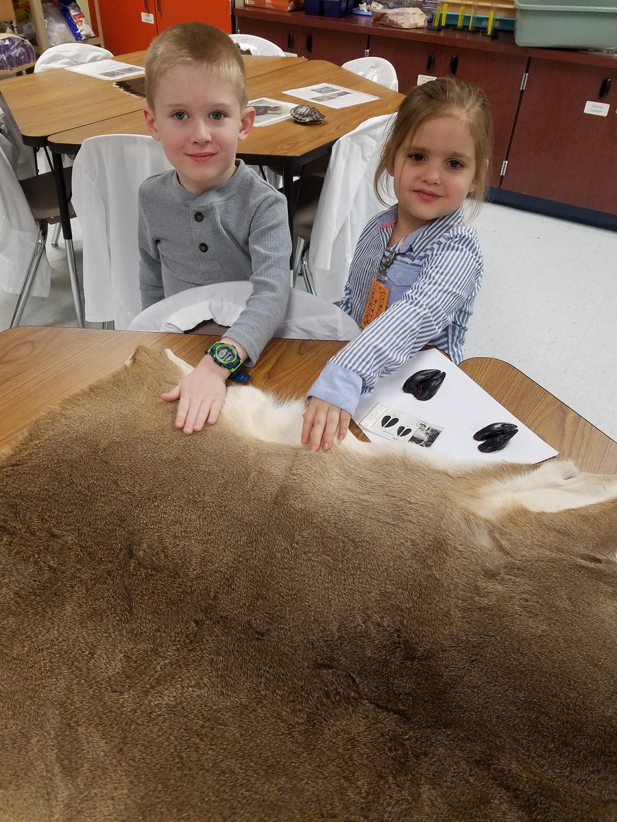 ShaughnessyECSE's tweet photo. We had a great time getting hands on experience with Texas wildlife today in the science lab! #DWEeagles https://t.co/u3UtcbeJCd