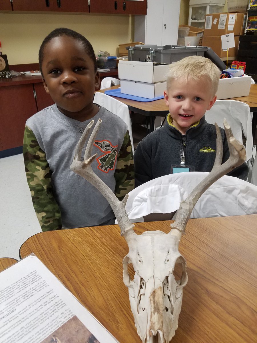 ShaughnessyECSE's tweet photo. We had a great time getting hands on experience with Texas wildlife today in the science lab! #DWEeagles https://t.co/u3UtcbeJCd