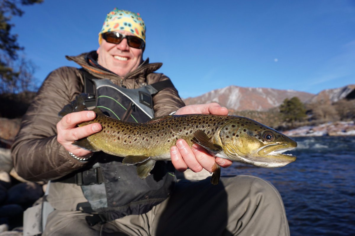 Cowboy_Griff's tweet photo. Thanks Otter @VVAnglers #flyfishcolorado #browntrout #troutbum https://t.co/sueKDUZ2mE